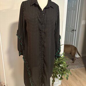Zara Polka Dot Dress